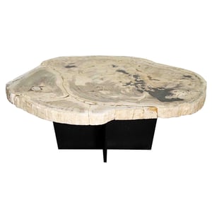 Venus Petrified Coffee Table, Natural